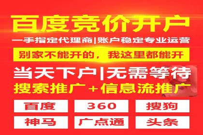 解析SEM推广代运营的五大成功要素